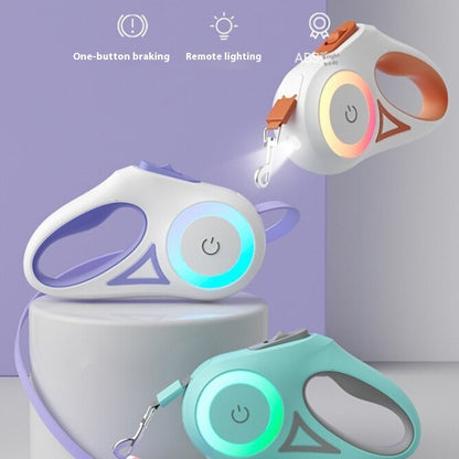 Laisse pour chien rétractable et collier avec lumière intégrée — corde de traction automatique pour chien ou chat, adaptée aux animaux de petite et moyenne taille.