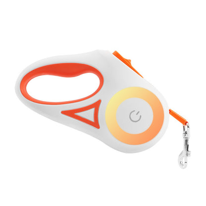 Laisse pour chien rétractable et collier avec lumière intégrée — corde de traction automatique pour chien ou chat, adaptée aux animaux de petite et moyenne taille.