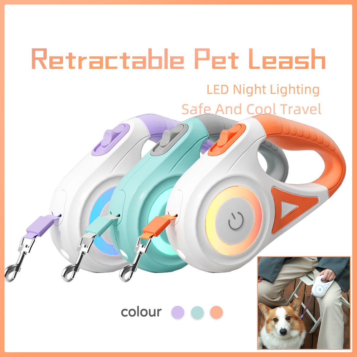 Laisse pour chien rétractable et collier avec lumière intégrée — corde de traction automatique pour chien ou chat, adaptée aux animaux de petite et moyenne taille.