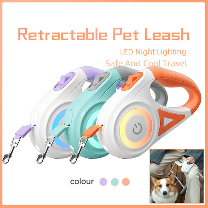 Laisse pour chien rétractable et collier avec lumière intégrée — corde de traction automatique pour chien ou chat, adaptée aux animaux de petite et moyenne taille.