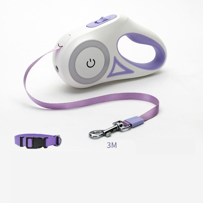 Laisse pour chien rétractable et collier avec lumière intégrée — corde de traction automatique pour chien ou chat, adaptée aux animaux de petite et moyenne taille.