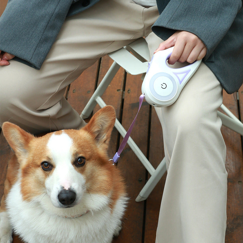 Laisse pour chien rétractable et collier avec lumière intégrée — corde de traction automatique pour chien ou chat, adaptée aux animaux de petite et moyenne taille.
