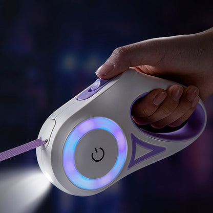 Laisse pour chien rétractable et collier avec lumière intégrée — corde de traction automatique pour chien ou chat, adaptée aux animaux de petite et moyenne taille.