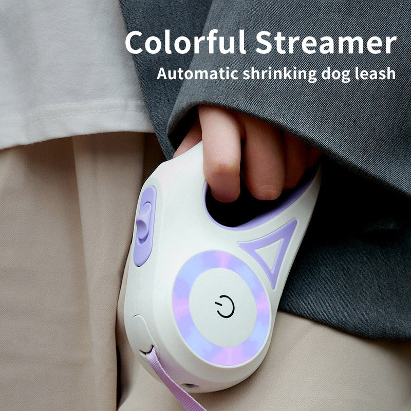 Laisse pour chien rétractable et collier avec lumière intégrée — corde de traction automatique pour chien ou chat, adaptée aux animaux de petite et moyenne taille.