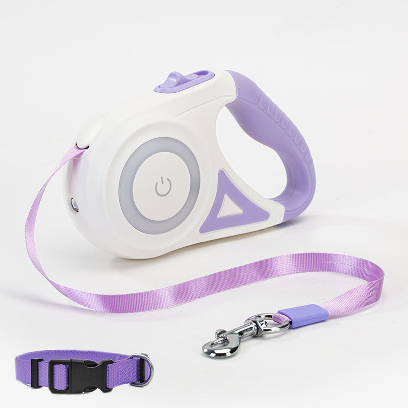 Laisse pour chien rétractable et collier avec lumière intégrée — corde de traction automatique pour chien ou chat, adaptée aux animaux de petite et moyenne taille.