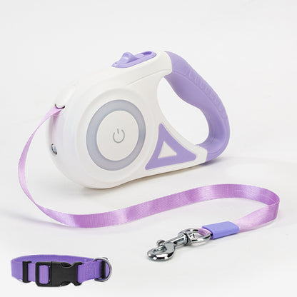 Laisse pour chien rétractable et collier avec lumière intégrée — corde de traction automatique pour chien ou chat, adaptée aux animaux de petite et moyenne taille.