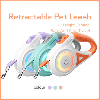 Laisse pour chien rétractable et collier avec lumière intégrée — corde de traction automatique pour chien ou chat, adaptée aux animaux de petite et moyenne taille.