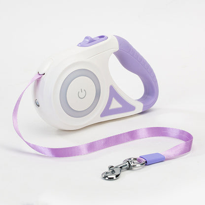 Laisse pour chien rétractable et collier avec lumière intégrée — corde de traction automatique pour chien ou chat, adaptée aux animaux de petite et moyenne taille.