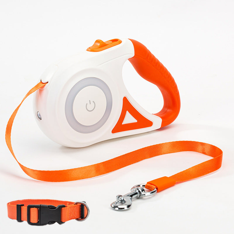 Laisse pour chien rétractable et collier avec lumière intégrée — corde de traction automatique pour chien ou chat, adaptée aux animaux de petite et moyenne taille.