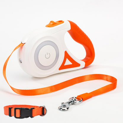 Laisse pour chien rétractable et collier avec lumière intégrée — corde de traction automatique pour chien ou chat, adaptée aux animaux de petite et moyenne taille.